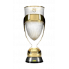 Campeão Gaúcho