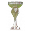 European Under-19 Champion