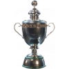 Saudi Pro League