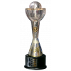 Under-17 South American Championship