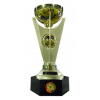 Under-20 South American Championship