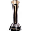 Mexican Campeón De Campeones