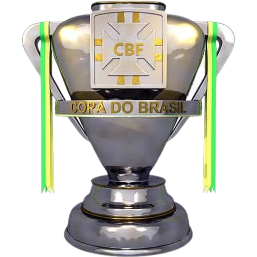 Brazilian Cup
